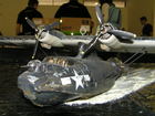 model letadla PBY-5 Catalina